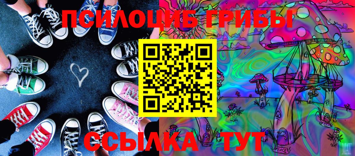 Кизляр  Псилоцибиновые грибы мицелий  Вход с VPN 