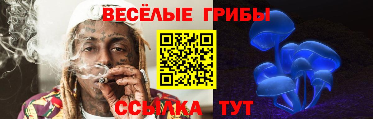 Галлюциногенные грибы Magic Shrooms Кизляр